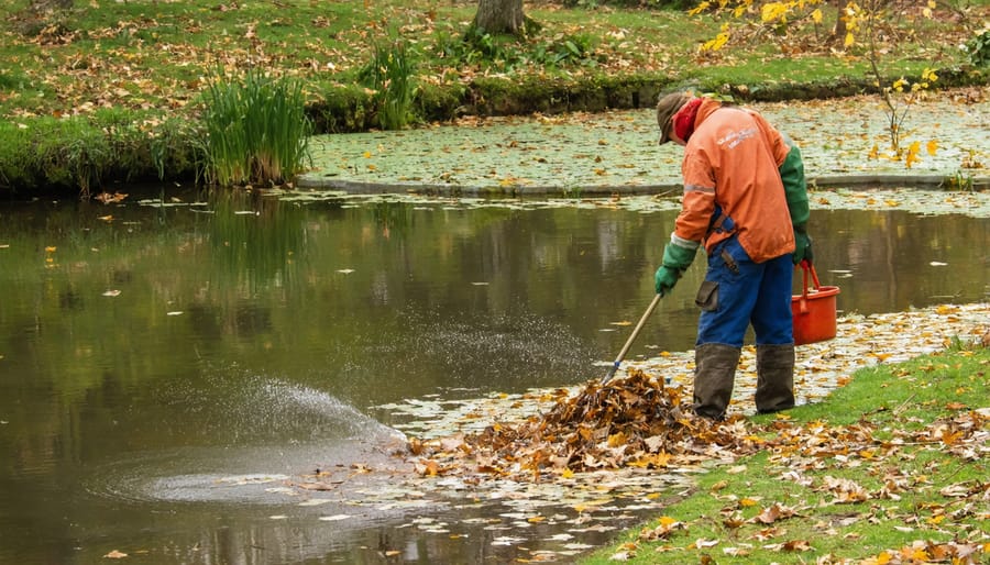 Demonstration of seasonal pond maintenance, cleaning out fallen leaves and debris in autumn