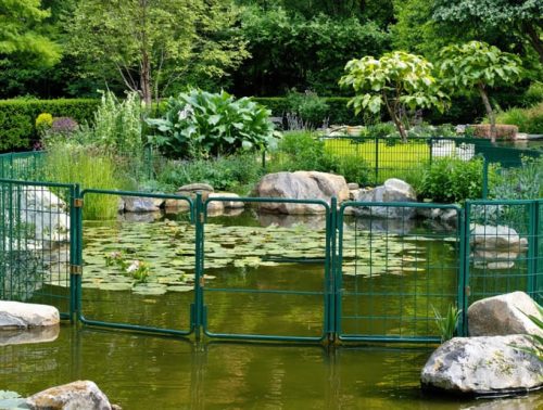 A tranquil garden pond secured by decorative yet sturdy fencing, with a child-proof gate and visible rescue equipment, illustrating the blend of safety features and natural beauty.