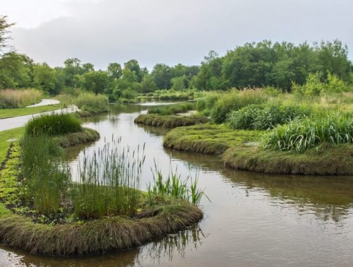 A rain pond with gently sloping banks, vibrant waterside plants, and a visible overflow system leading to a bioswale, depicting smart design for erosion control and ecological balance.