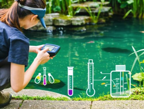 A person using a handheld water quality meter by a clear backyard pond, surrounded by lush greenery, representing the blend of professional water management techniques in a home setting.