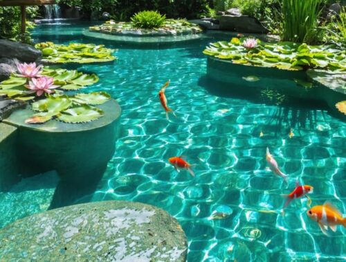 A picturesque natural swimming pool surrounded by vibrant aquatic plants and clear water, with fish swimming underneath, highlighting an eco-friendly and sustainable design.