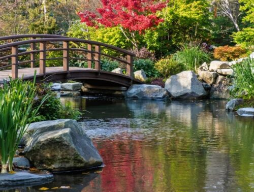 A captivating water garden transitioning through the seasons, with a blend of evergreen plants, vibrant blooms, and artistic hardscapes, highlighted by snow-touched ornamental grasses and shimmering water reflections.