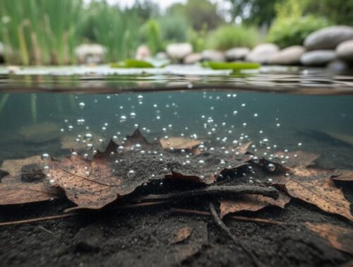 Split-view photo at the pond surface showing dark organic muck with decomposing leaves and small gas bubbles on the bottom, with reeds, lily pads, and shoreline stones softly blurred above the waterline.