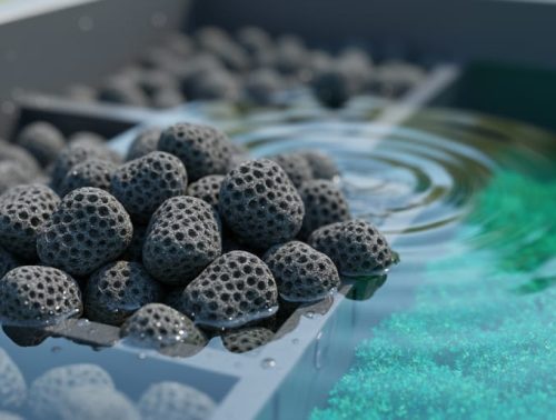 Close-up of porous zeolite mineral media in a koi pond filtration chamber with clear water and blurred pond filter elements in the background.